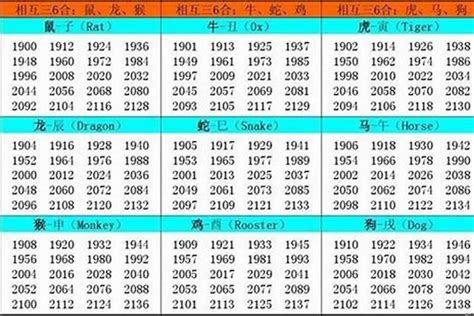 1982年出生|1982年出生是什麼命？